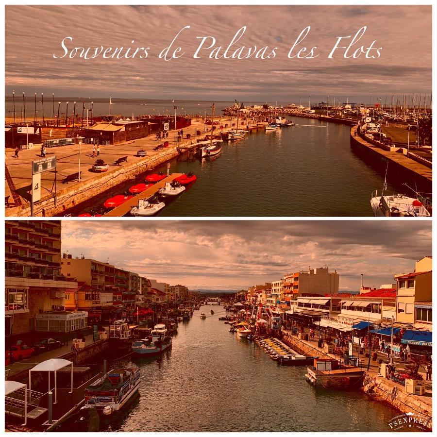 Amerique Hotel Palavas - Piscine&Parking - Plage Buitenkant foto