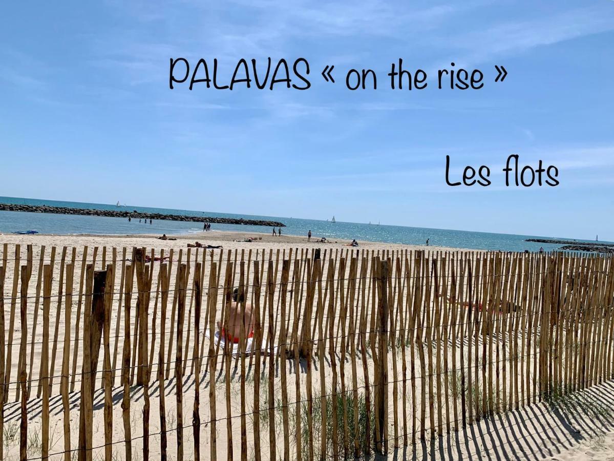 Amerique Hotel Palavas - Piscine&Parking - Plage Buitenkant foto